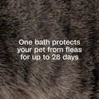 Adams Plus Flea and Tick Shampoo with Precor for Cats and Dogs Gallon