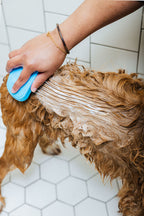 Pure-Pup (Dog Shampoo & Conditioner Duo)