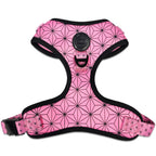 Asanoha Harness