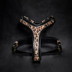 The Leopard Harness Small to Medium Size
