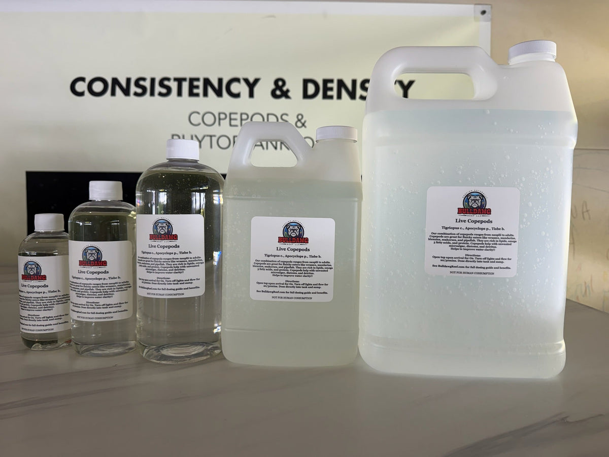 Copepod Mix