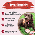 Puppy Packs 'n Snacks Dog Treat Starter Pack | Single-Ingredient Training Treats