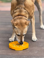 Sunflower eTray Shallow Slow Feeder Dog Bowl for Enrichment | USA Made