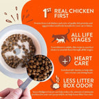 Earthborn Grain Free Primitive Feline Dry Cat Food