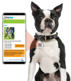 PetHub QR Pet ID Tag – Oh Crap I’m Lost