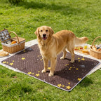 2PCS Dog Training Mats Reusable Pet Toilet Training Mats, Suitable For Car Seats, Floors And Home Use - Durable And Washable