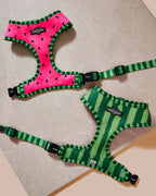 What-A-Melon Reversible Harness