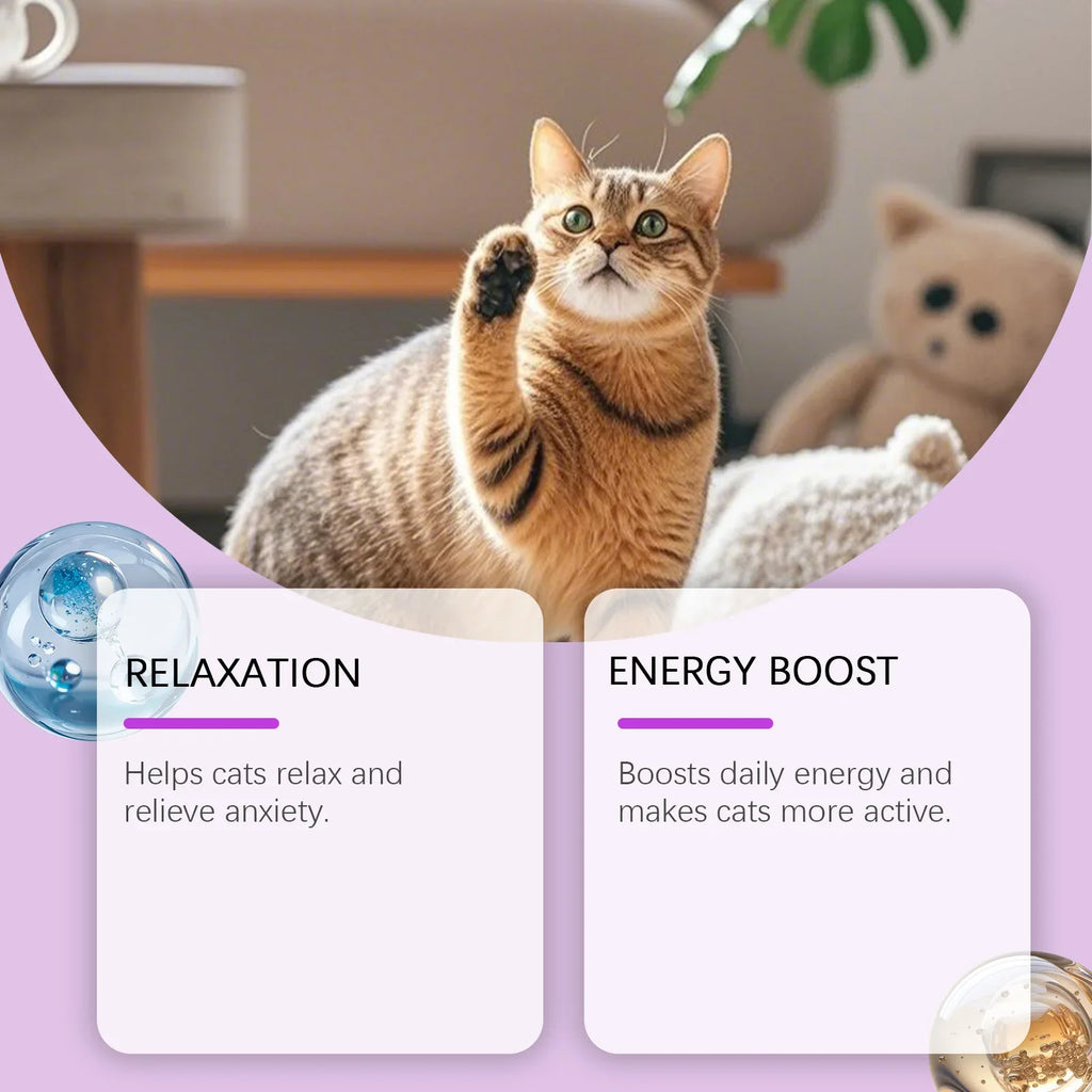 Kriath Cat Melatonin Drops 60ml Pet Calming Supplement Liquid Improve Sleep Quality Reduce Stress Anxiety Relief for Cats