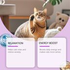 Kriath Cat Melatonin Drops 60ml Pet Calming Supplement Liquid Improve Sleep Quality Reduce Stress Anxiety Relief for Cats