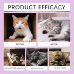 Kriath Cat Melatonin Drops 60ml Pet Calming Supplement Liquid Improve Sleep Quality Reduce Stress Anxiety Relief for Cats