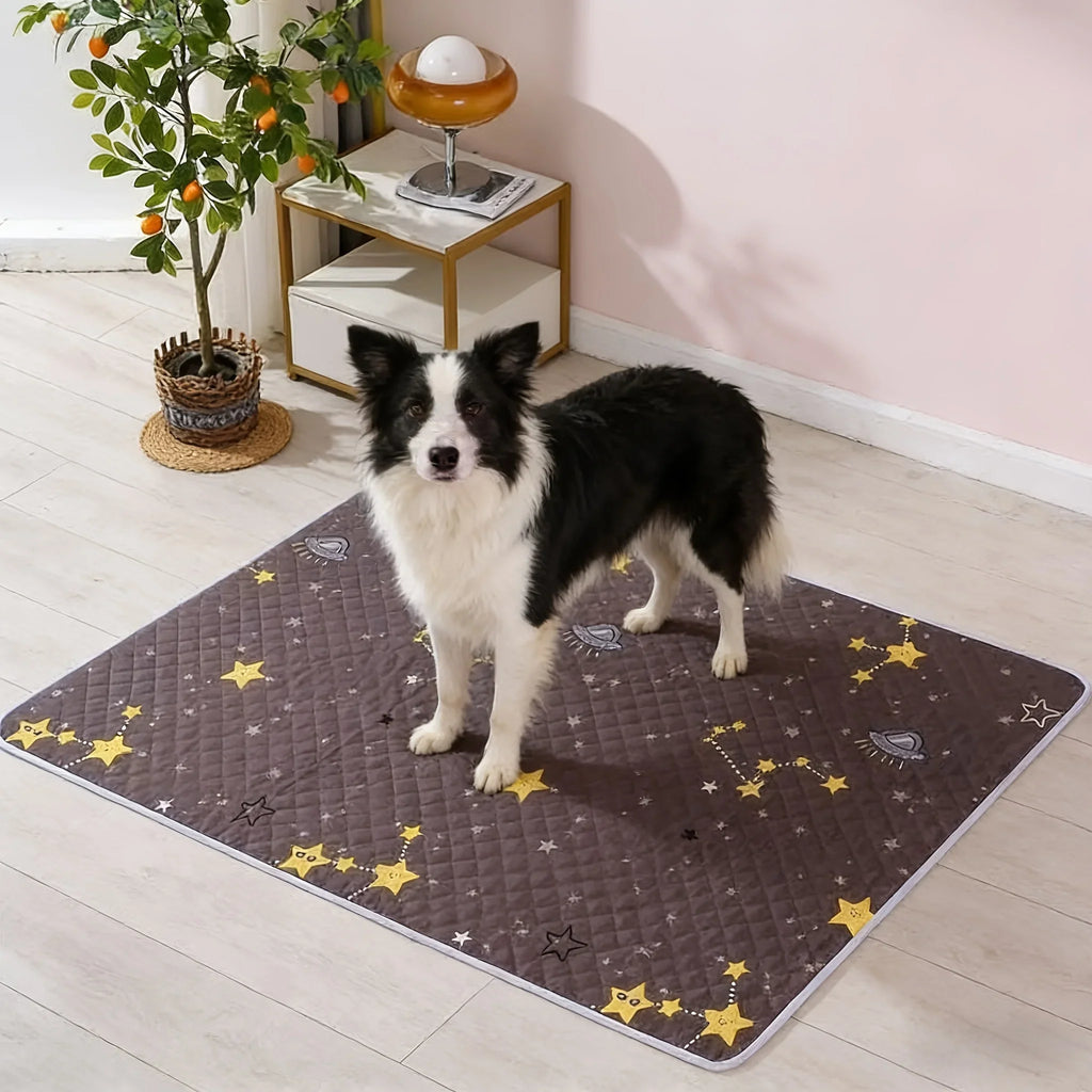 2PCS Dog Training Mats Reusable Pet Toilet Training Mats, Suitable For Car Seats, Floors And Home Use - Durable And Washable