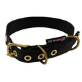 Collars Seatbelt