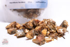 Freeze-Dried Whole Sardines: Fish Treats for Dogs & Cats
