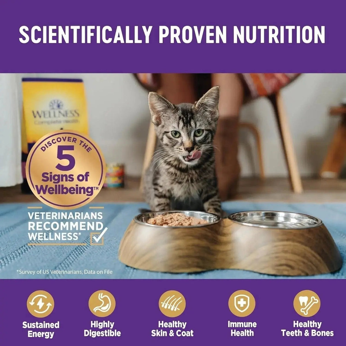 72 Packs - Wellness Complete Health Pate Adult Wet Cat Food, Natural, Protein-Rich, Grain Free