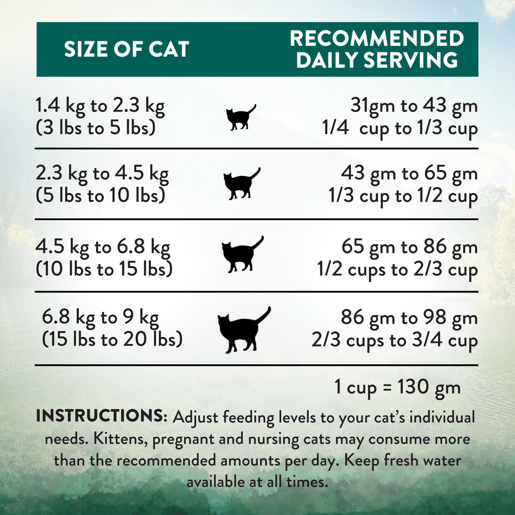 Wild Islands Island Bird Premium Duck Turkey & Chicken Dry Cat Food