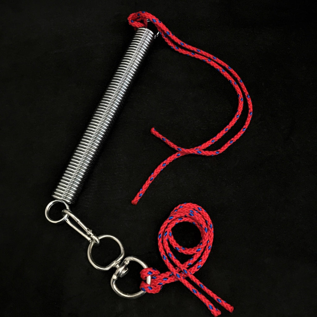 BESTIA DOG SPORT Training Spring Set
