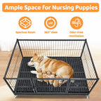 42" Stackable Dog Crate 43S+WHLP02