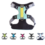 Everyday Adventure Dog Harness