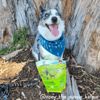 Herbed Lamb & Potatoes Air-Dried Dog Food