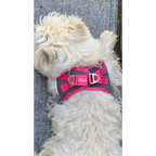 Plush Step In Air Mesh Harness - Shark Grey/Pink