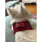 Plush Step In Harness Plaid Red