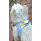 Plush Step In Harness Spring Plaid