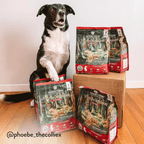 Viva La Venison Dry Dog Food