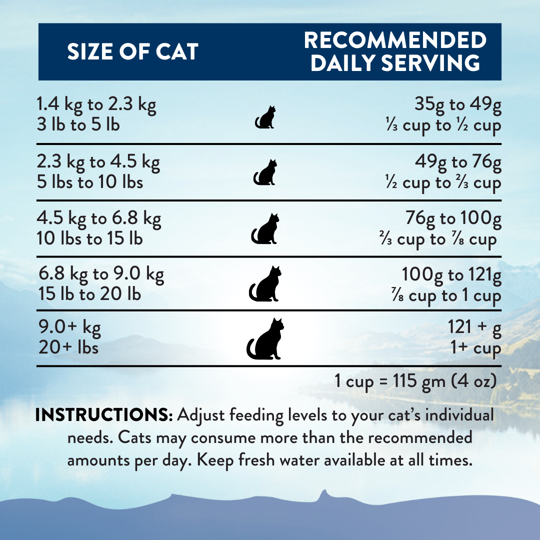 Wild Kangaroo Feast Dry Cat Food
