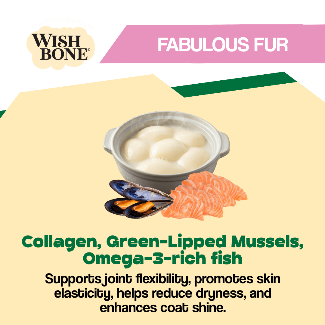 Wishbone Air-Dried Ocean Fish & Lamb Recipe Dog Food - 454g